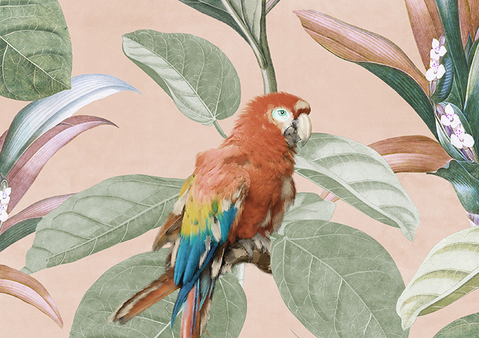 Parrot, Peach Ice - Roman Blind - Image 7